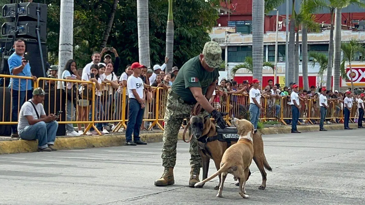 militar con perritos